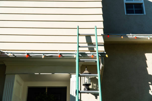 Best Fascia and Soffit Installation  in Sullivan City, TX